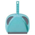 Pazinha Com Escova Mor