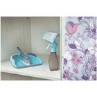 Pazinha Com Escova Mor