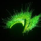 Pc Gamer Intel Core I5 16gb Geforce Gtx 1650 4gb Ssd 240gb