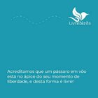 Pedestal Para Alimentador Livre Birds