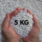 Pedra Branca 5kg Decoração Vasos De Plantas Aquário Jardim