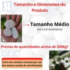 Pedra De Jardim 28,5kg Dolomita Tamanho Nº 3 Seixo Rolado Bra