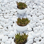 Pedra De Jardim 28,5kg Dolomita Tamanho Nº 4 Seixo Rolado Bra