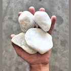 Pedra De Jardim Seixo Branco Dolomita 10kg Tamanho Nº 4 Rolad