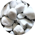 Pedra De Jardim Seixo Branco Dolomita 20kg Tamanho Nº 3 Rolad