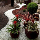 Pedra De Jardim Seixo Branco Dolomita 2kg Tamanho Nº 2 Rolado