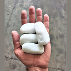 Pedra De Jardim Seixo Branco Dolomita 2kg Tamanho Nº 3 Rolado