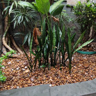 Pedra De Jardim Seixo De Rio Marrom Azeitona 25kg Tamanho Peq