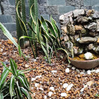 Pedra De Jardim Seixo De Rio Marrom Azeitona 5kg Tamanho Pequ