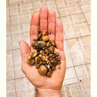 Pedra De Jardim Seixo De Rio Marrom Feijãozinho 2kg Tamanho M