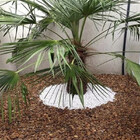 Pedra De Jardim Seixo De Rio Marrom Mato Grosso 2kg Tamanho M