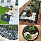 Pedra De Jardim Seixo Preto 20kg Tamanho Médio Rolado Dolomit