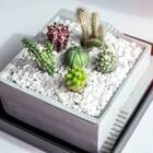 Pedra Decorativa Brita Branca Média (800g) Vitaplan