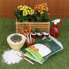 Pedra Dolomita Branca 2,5Kg Geolia