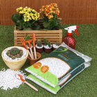 Pedra Dolomita Branca Pequena 4,9Kg Geolia