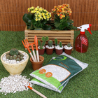 Pedra Dolomita Palha 2,5Kg Geolia