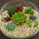 Pedra Dolomita Palha 39kg SJ do Brasil