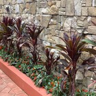 Pedra Espanha Modelo 23x65cm Revestimentos Naturais