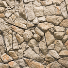 Pedra Galaxy Moledo 37x66cm Revestimentos Naturais