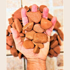 Pedra Seixo Arenito Vermelho 40kg Tamanho P Natural Jardim De