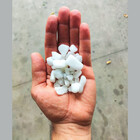 Pedra Seixo Branco De Jardim 40kg Dolomita Nº 0 Rolado Cascal