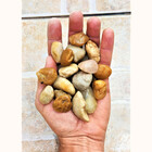 Pedra Seixo De Rio Natural 25kg Tamanho M Lavado Jardim Decor