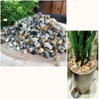 Pedra Seixo De Rio Natural 25kg Tamanho M Lavado Jardim Decor