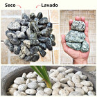 Pedra Seixo Granito Natural Rajado 2kg Médio Dolomita Decoraç