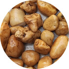 Pedra Seixo Natural Creme 30kg Tamanho M Ecológico Decoração