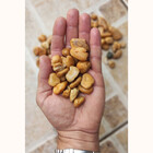 Pedra Seixo Natural Creme 30kg Tamanho P Ecológico Decoração