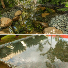 Pedra Seixo Verde 40kg Tamanho Grande Dolomita Decoração Jard