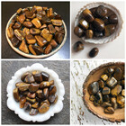 Pedra Semipreciosa Olho De Tigre Natural Polida 950g