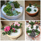 Pedrinha Branca De Jardim 10kg Tamanho Nº 1 Mini Pedrisco Cas