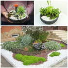 Pedrinha Branca De Jardim 40kg Pedrisco Nº 2 Cascalho Vaso Or