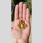 Pedrinha De Jardim Dourada Ouro Amarela 2kg Tamanho Nº 2 Pedr