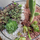 Pedrinha De Jardim Palha Bege 2kg Tamanho Nº 1 Mini Pedrisco