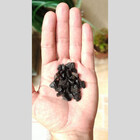 Pedrinha De Jardim Preta Basalto 10kg Tamanho Nº 2 Pedrisco P