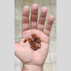 Pedrinha De Jardim Vermelha 20kg Tamanho Nº 2 Pedrisco Vermel