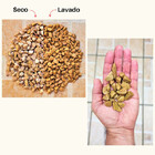 Pedrinha Dourada (ouro) De Jardim 40kg Pedrisco Nº 3 Cascalho