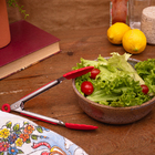 Pegador Com Trava Médio Vermelho - Mozcada