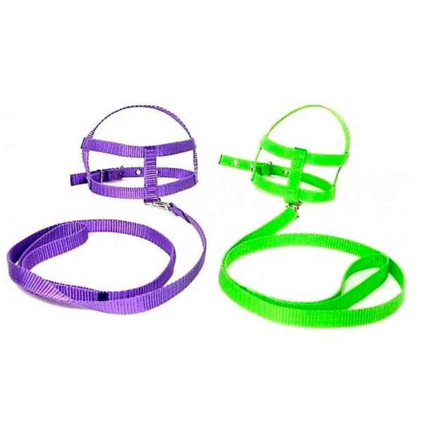 Peiteira Com Guia De Nylon Seda Para Cão Color - Imbicouros,