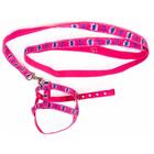 Peiteira Com Guia Master Bordado Para Cão - Imbicouros, Taman