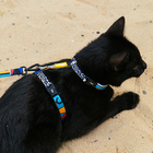 Peitoral + Guia para gatos para Gato P Poliéster Cachorreiros