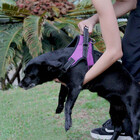 Peitoral Air Pull Roxo Tam. G Mimo - Pp328