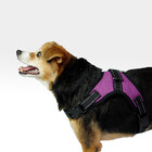 Peitoral Air Pull Roxo Tam. G Mimo - Pp328