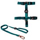 Peitoral com Guia para Cachorro e Gato G em Tecido Verde Fábrica Pet