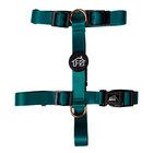 Peitoral com Guia para Cachorro e Gato G em Tecido Verde Fábrica Pet