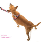 Peitoral e Guia para Cachorro MADOG Triângulos (M)