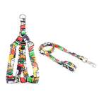 Peitoral E Guia Smooty Pet Abstrata P Kit