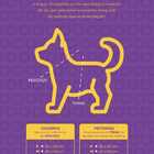 Peitoral E Guia Smooty Pet Melancia P Kit